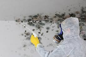 Best Asbestos and Lead Testing During Mold Inspection  in Preston, ID